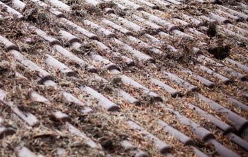 Welsh Harp roof cleaning companies